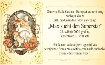 NAJAVA: Max sucht den Superstar